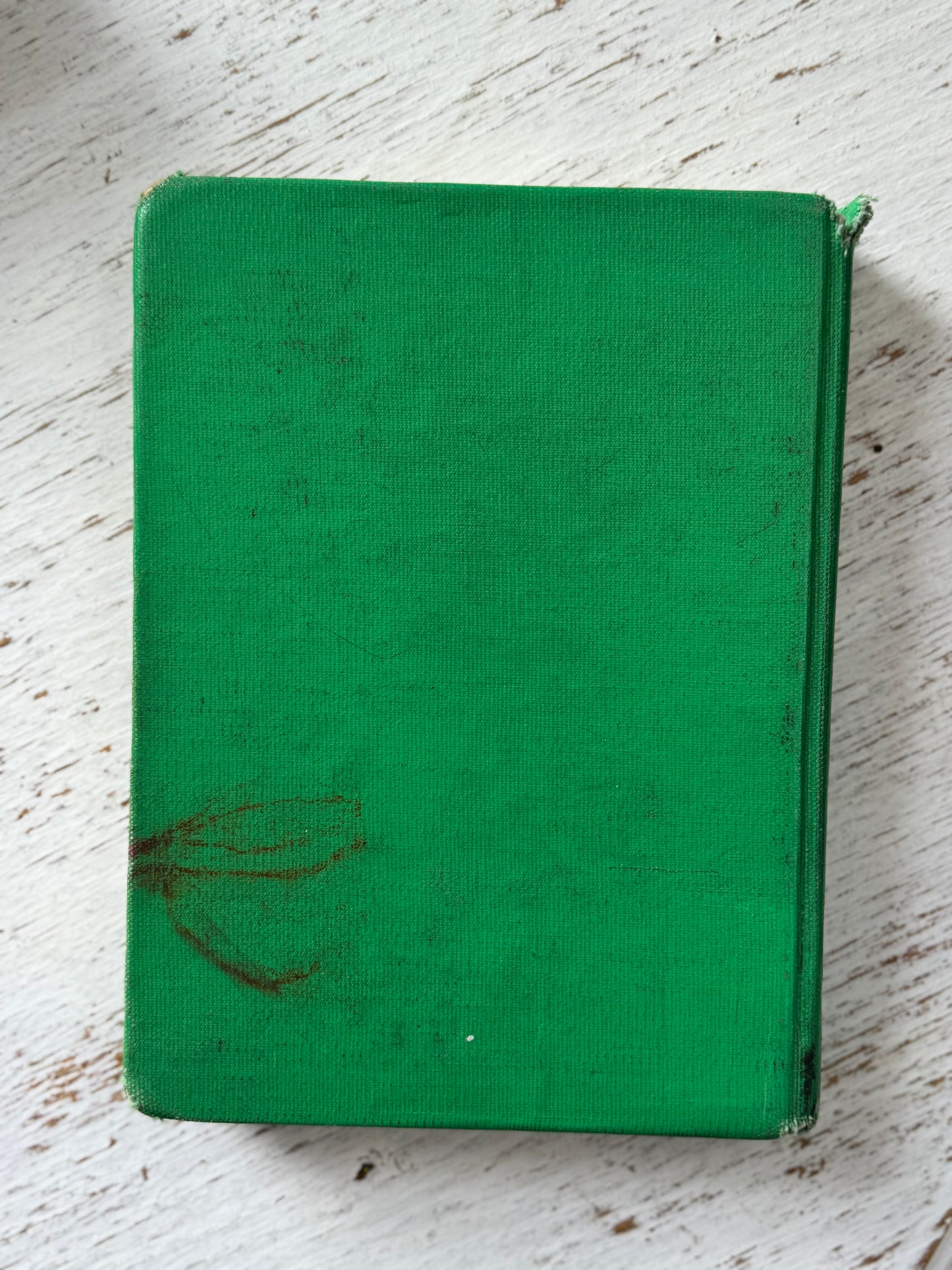 Vintage Secret Garden Novel