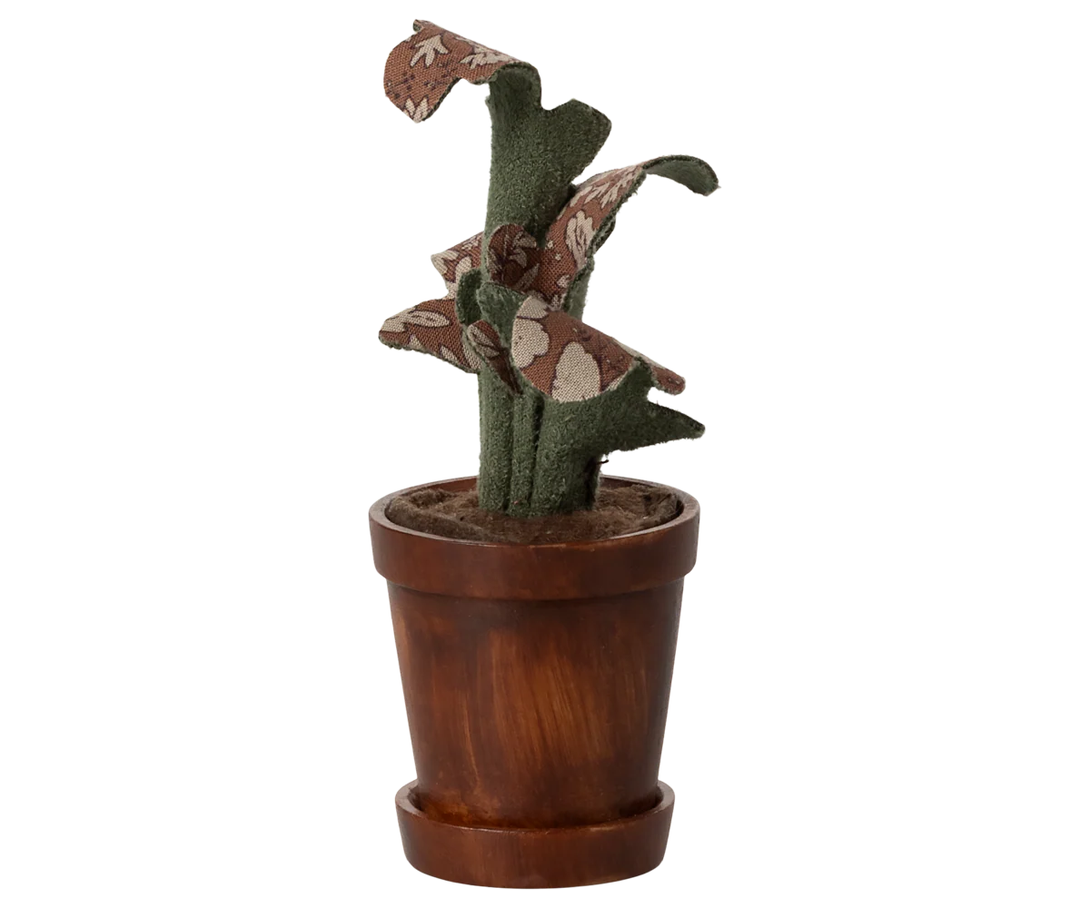 Flower Pot with Plant