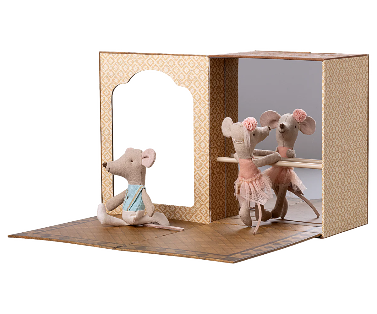 Ballet Mice In Studio