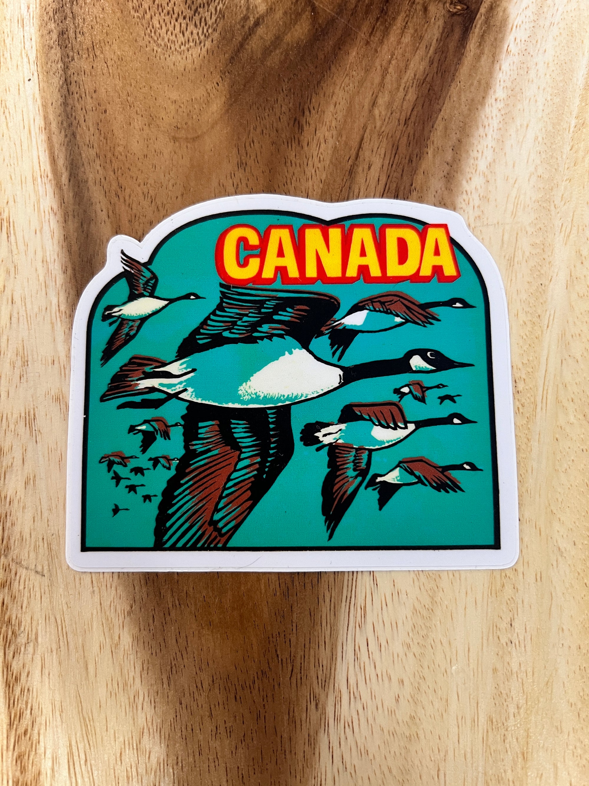 Canada Geese In Flight Sticker