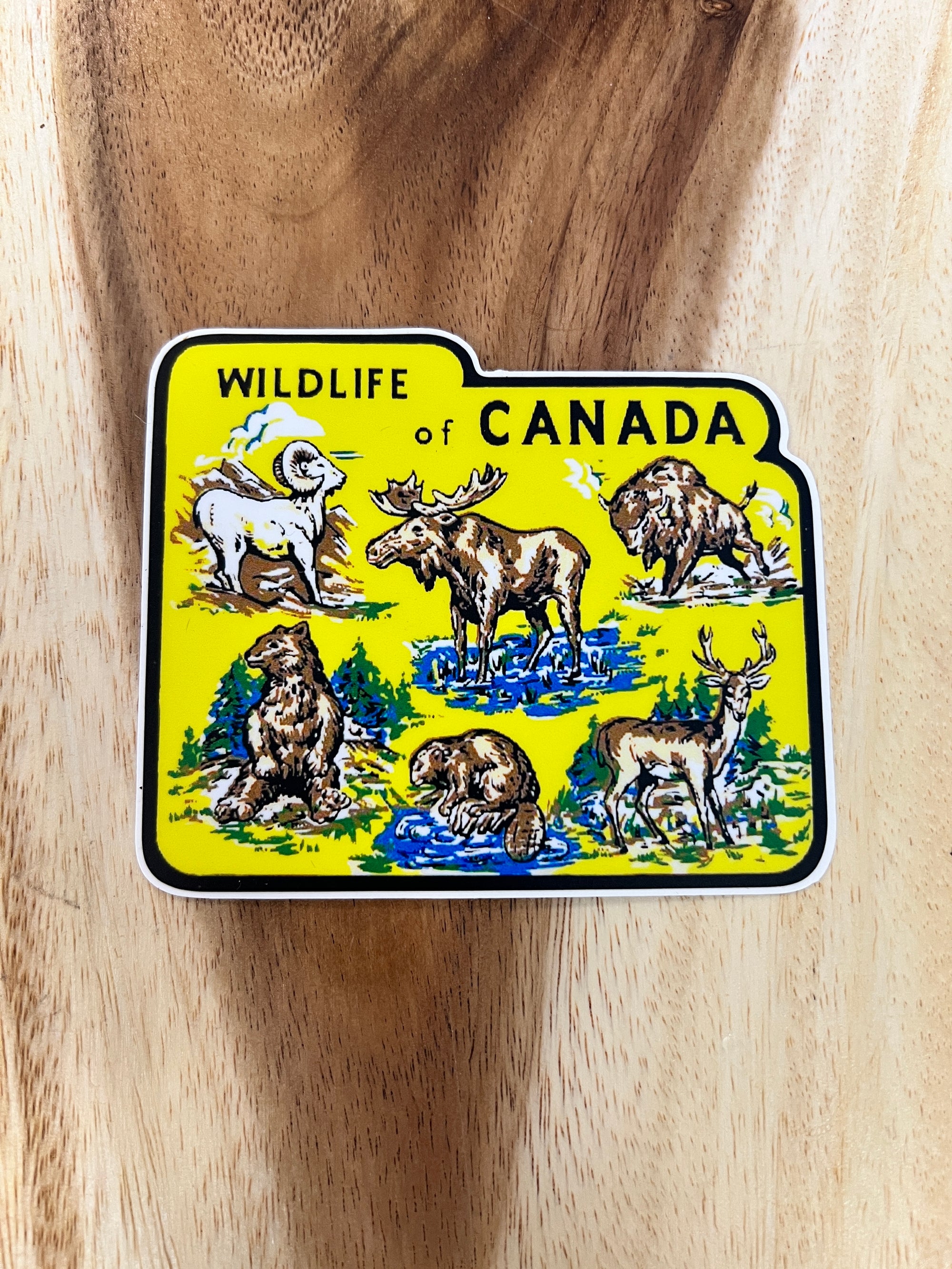 Wildlife of Canada Sticker