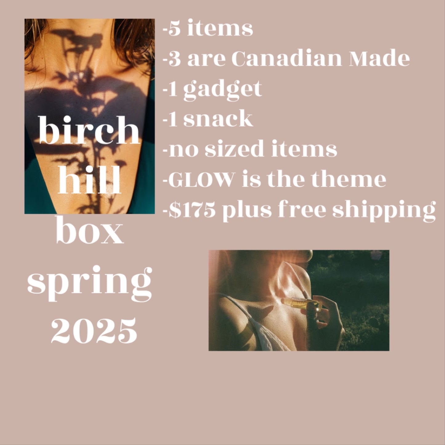 Spring Birch Hill Box 2025