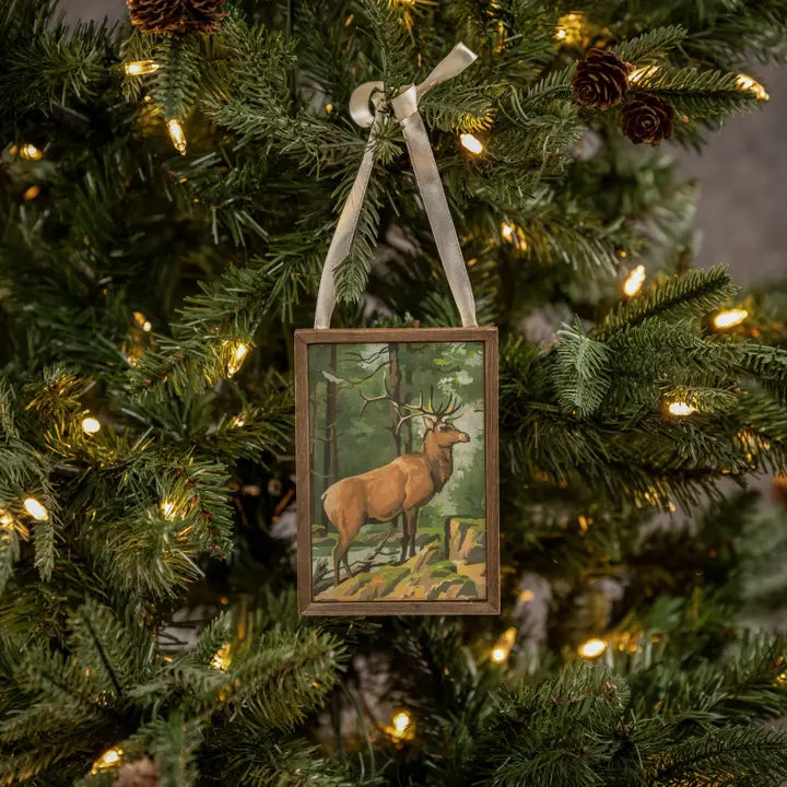 Buck In The Woods Mini Wall Art