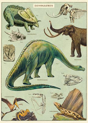 Dinosaurs Poster - Birch Hill Studio