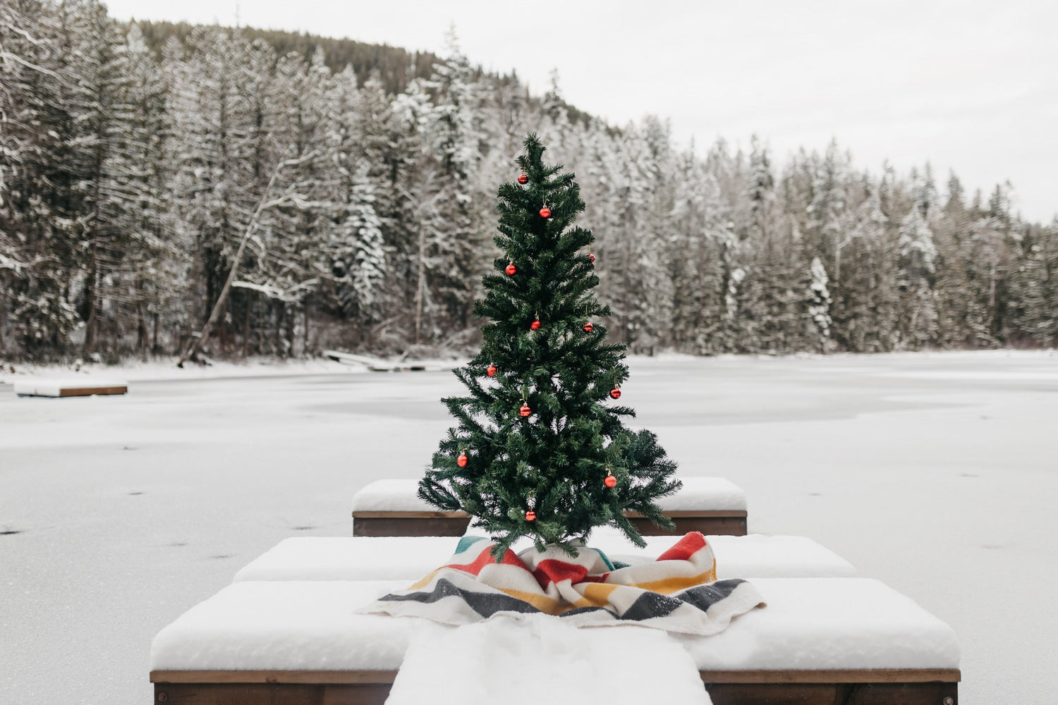 The Holiday Shop