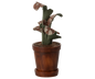 Flower Pot with Plant