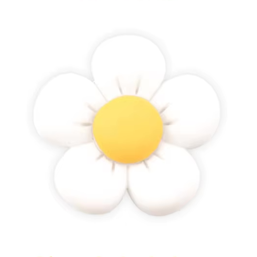 Clog Charms-3D Flowers