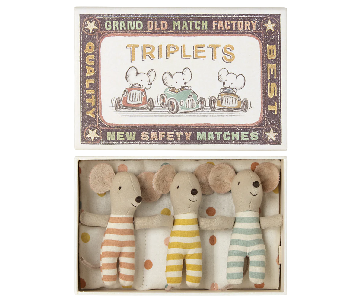 Triplets-Baby Mice in Matchbox