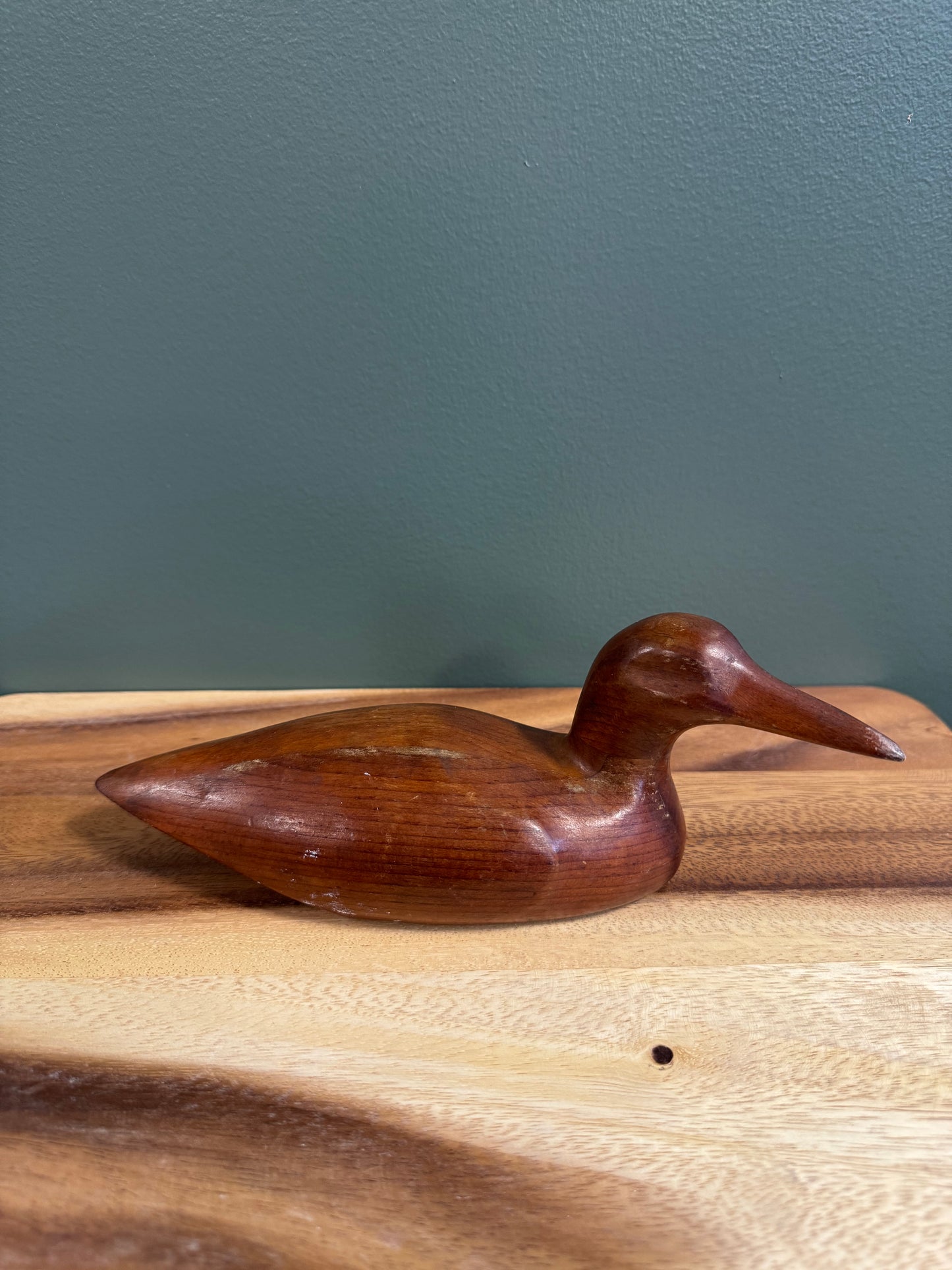 Wood Duck