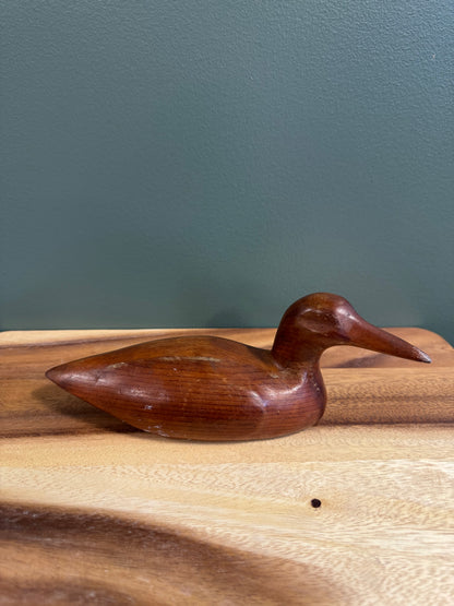 Wood Duck