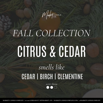 Citrus & Cedar Soy Candle
