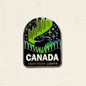 Northern Lights Moose Enamel Pin