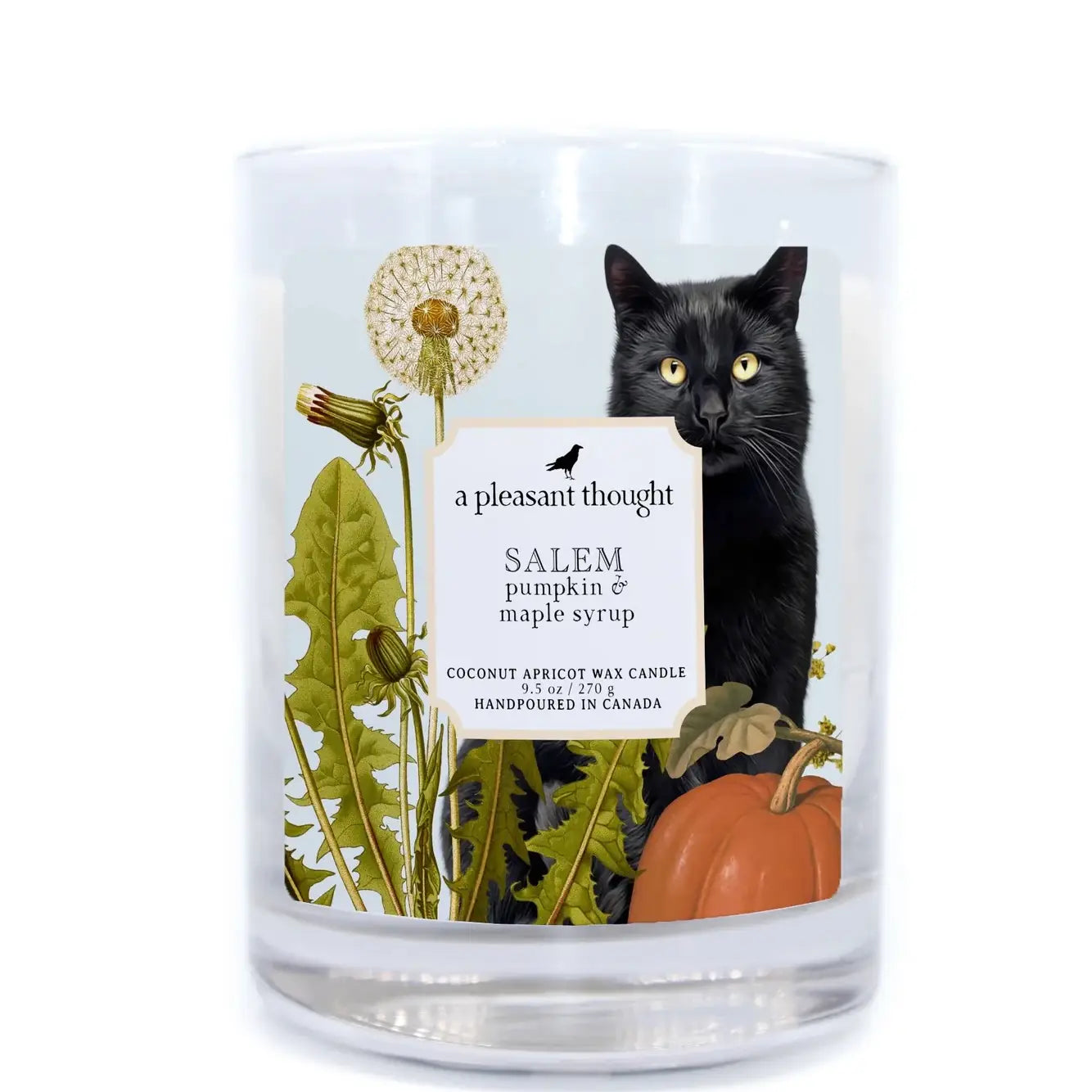 Salem-Pumpkin & Maple Syrup 15 oz. Candle