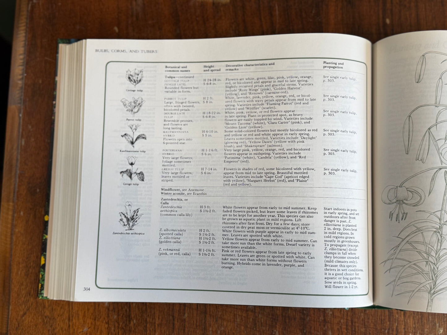 Reader's Digest Gardening Book