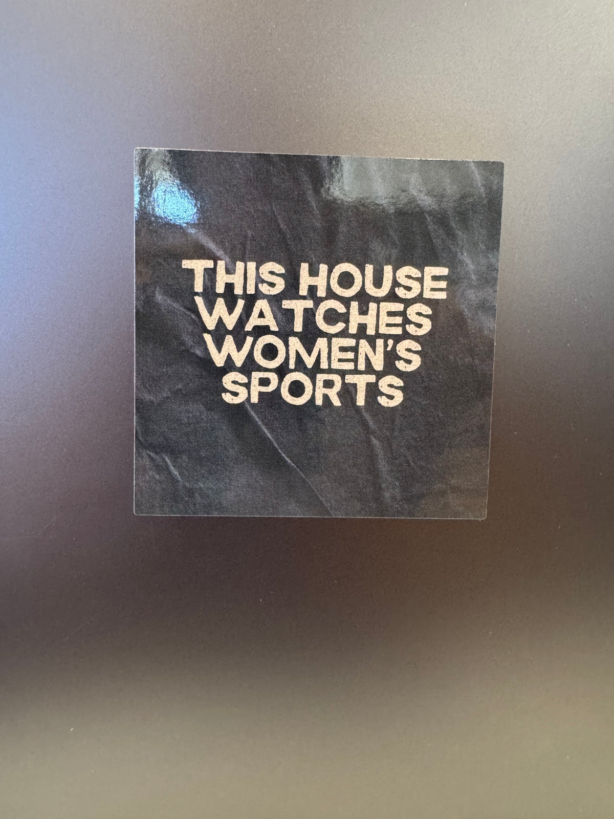 This House Watches Women's Sports sticker