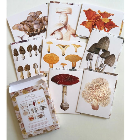 Boxed Set of 8 Vintage Mushroom Greeting Cards