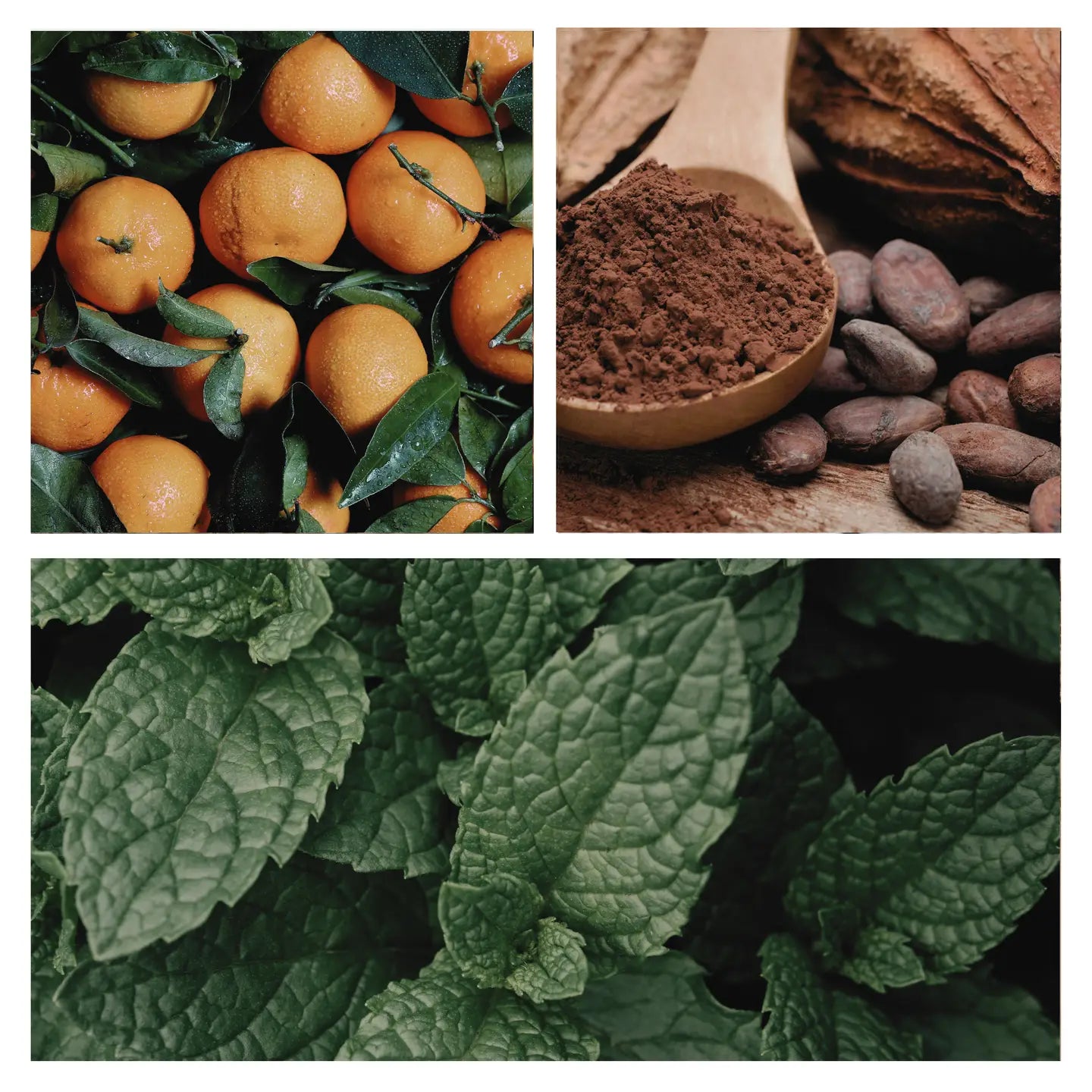 Be Festive Simmer Pot Mix