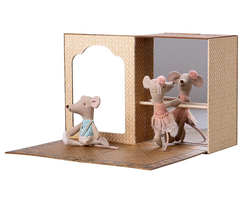 Ballet Mice In Studio