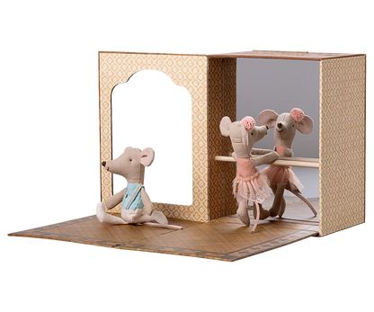Ballet Mice In Studio