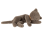 Sleeping Kitten, Medium