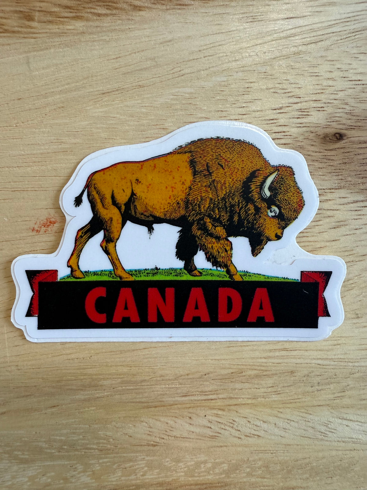 Canada Bison Sticker