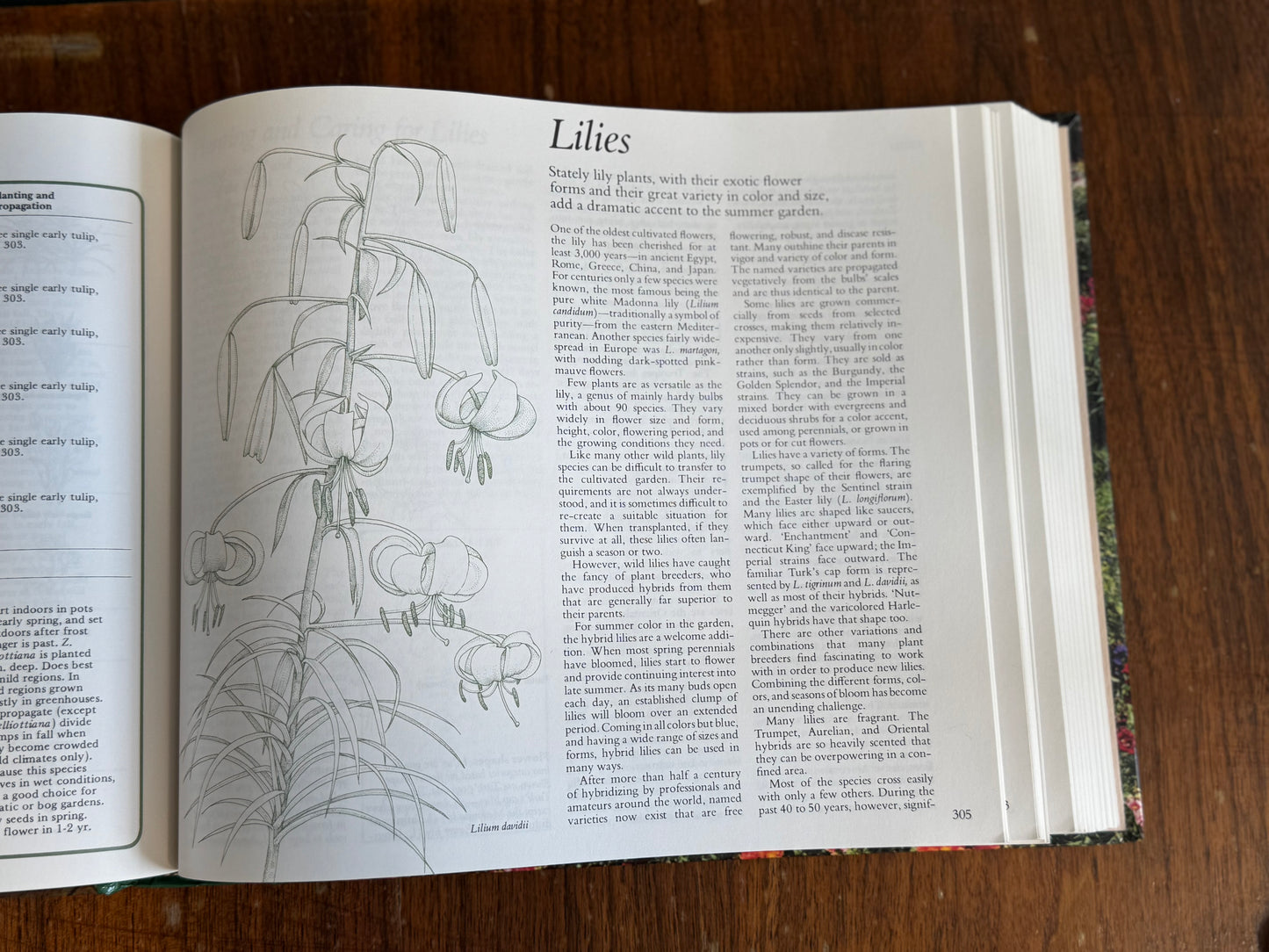 Reader's Digest Gardening Book