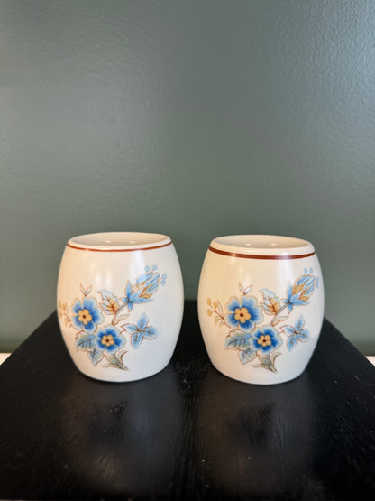 Pre-Loved Blue Flower Salt & Pepper Shakers