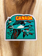 Canada Geese In Flight Sticker