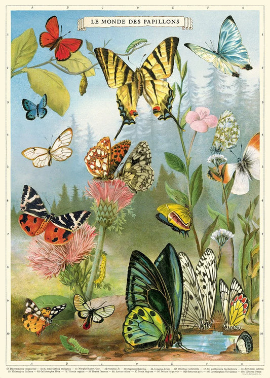 Butterflies Poster