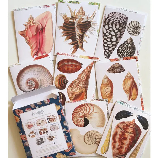 Boxed Set of 8 Vintage Sea Shell Greeting Cards