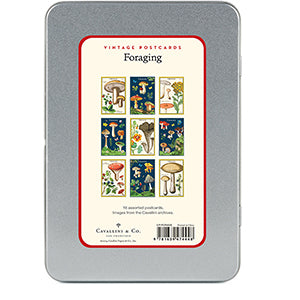 Foraging Vintage Postcards
