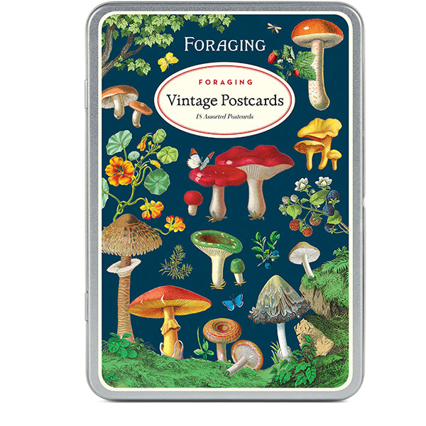 Foraging Vintage Postcards