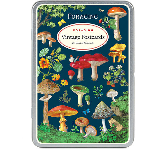 Foraging Vintage Postcards