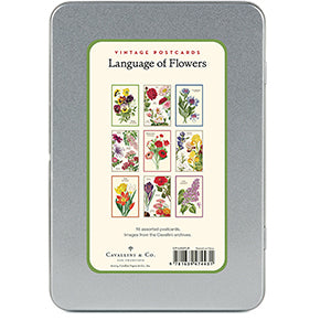 Language of Flowers Postcards