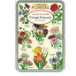 Language of Flowers Postcards