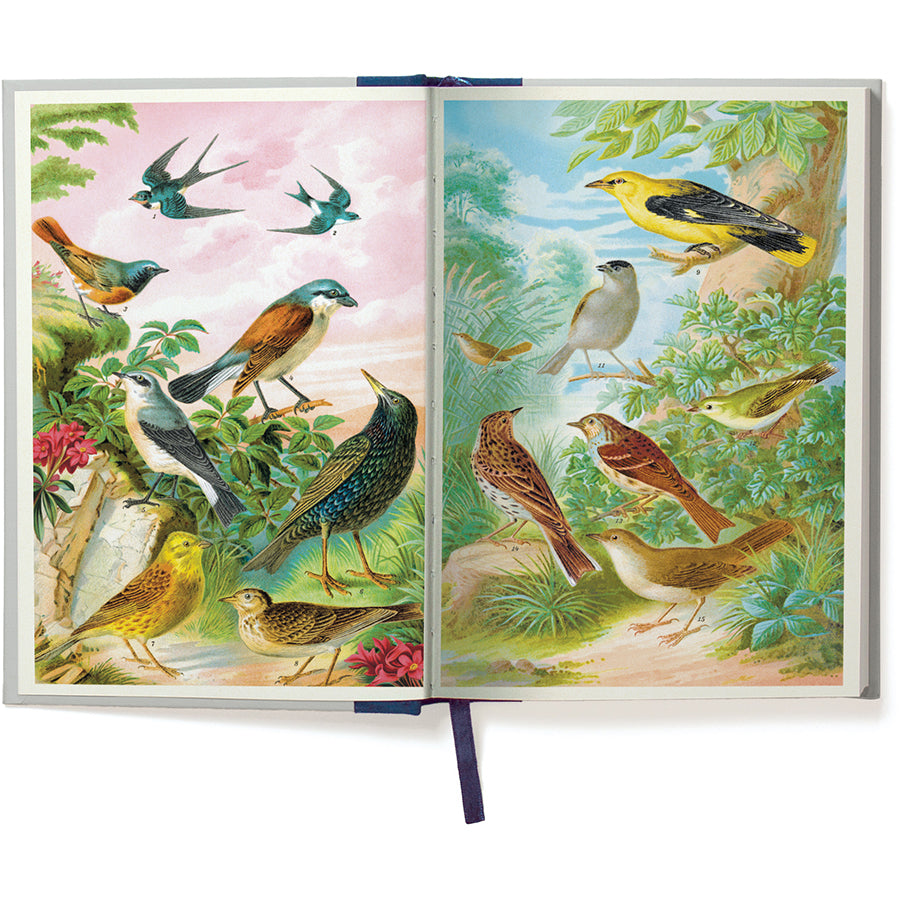 Bird Window Journal
