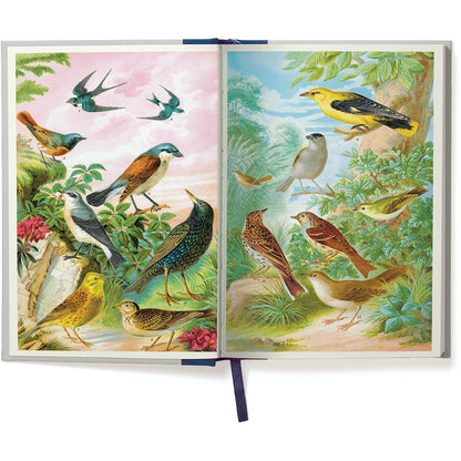 Bird Window Journal