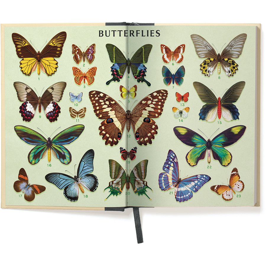 Butterflies Window Journal