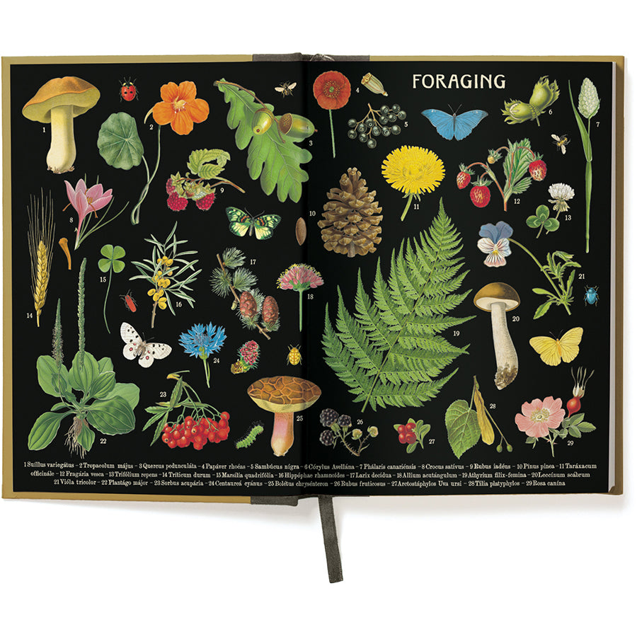 Foraging Window Journal