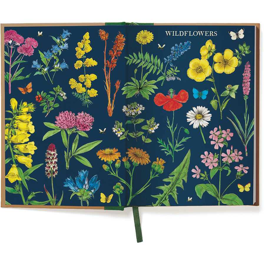 Wildflowers Window Journal