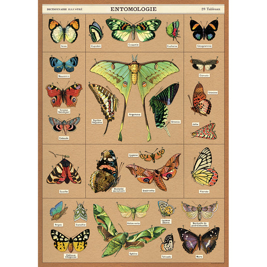 Entomology Poster