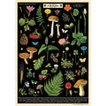 Field Guide to Foraging Poster