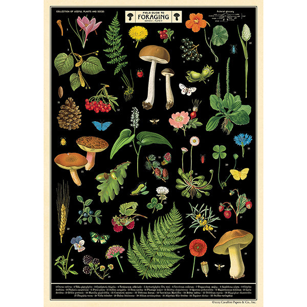 Field Guide to Foraging Poster
