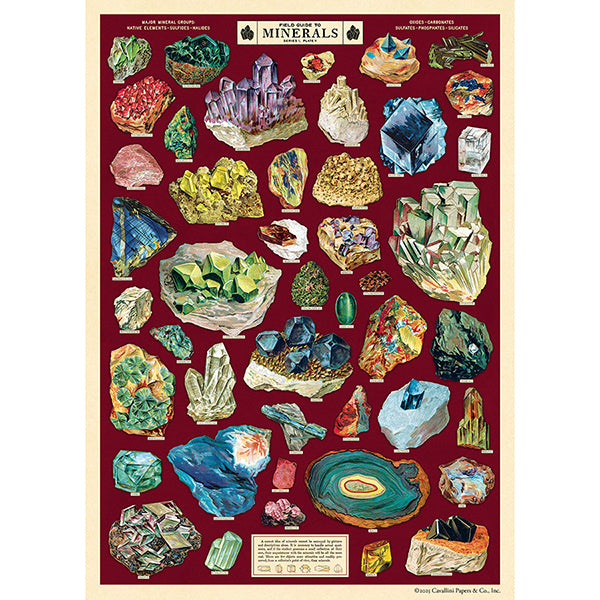 Field Guide to Minerals Poster