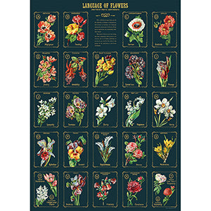 Language of Flowers 2 Poster