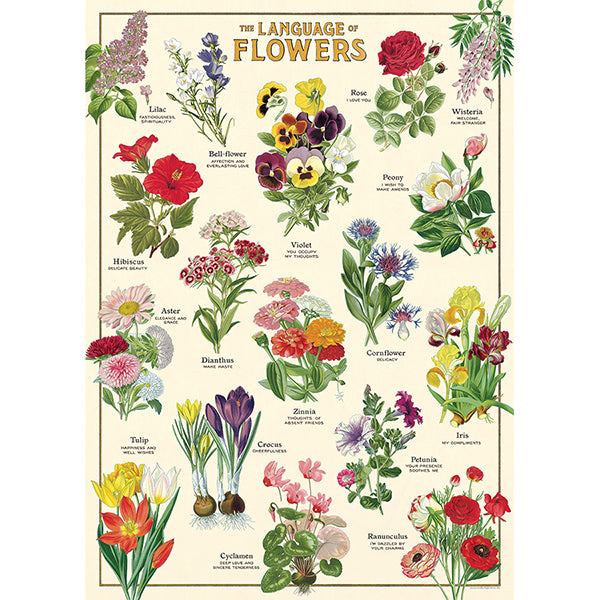 Language of Flowers Poster