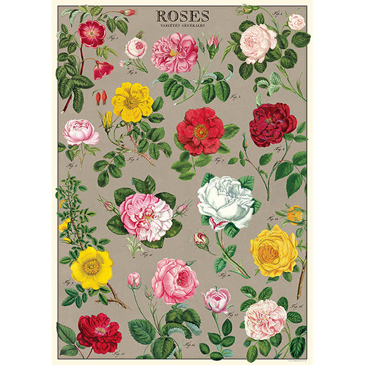 Roses Poster