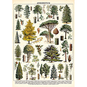 Arboretum Poster