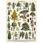 Arboretum Poster