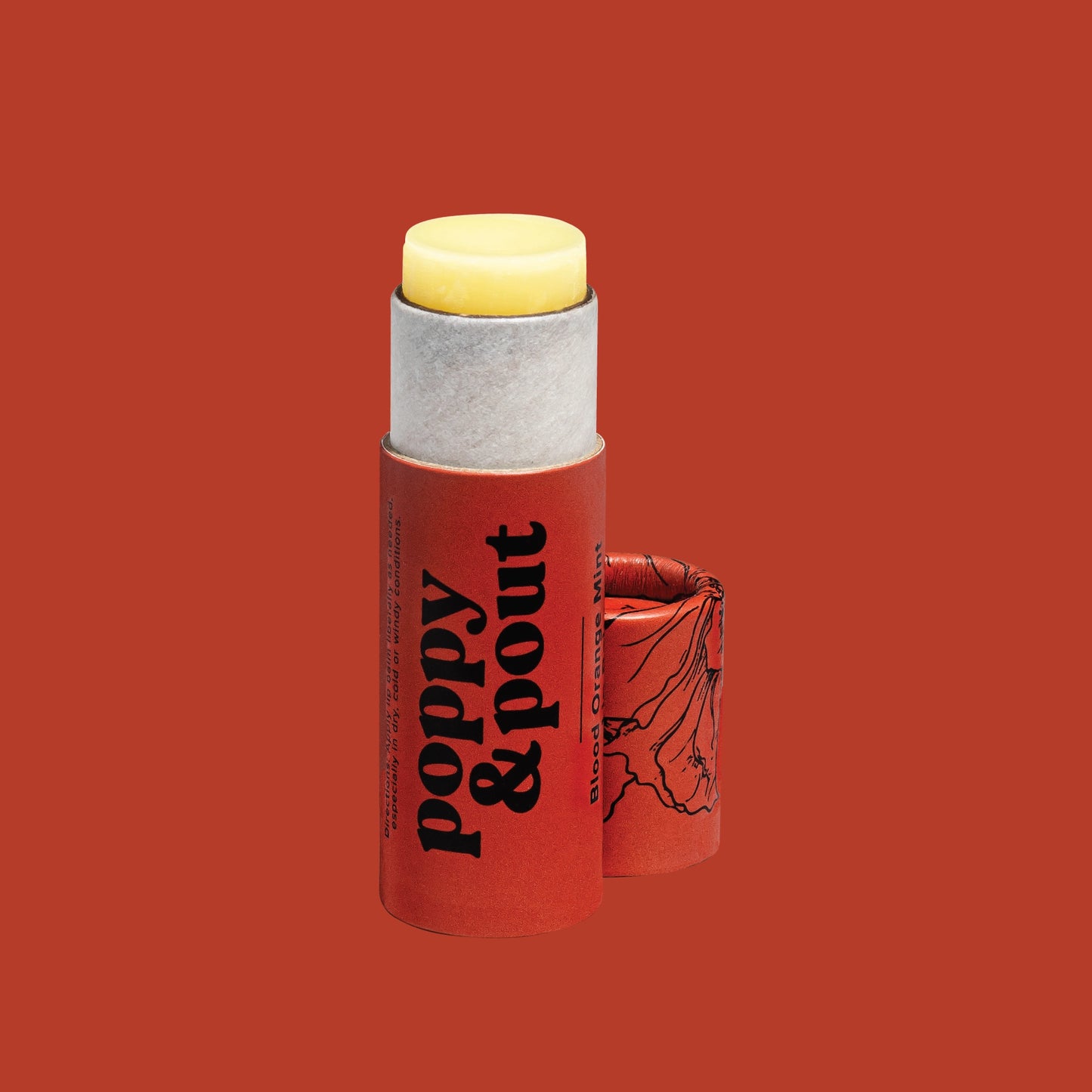 Blood Orange Mint Lip Balm - Birch Hill Studio